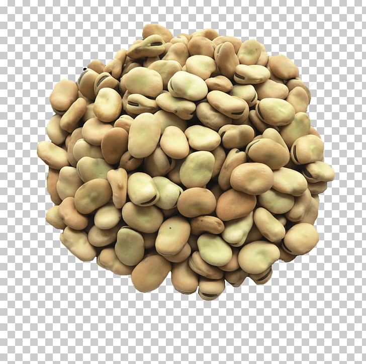 Vegetarian Cuisine Broad Bean Legume Seed PNG, Clipart, Bean, Broad Bean, Canning, Commodity, Cooking Free PNG Download