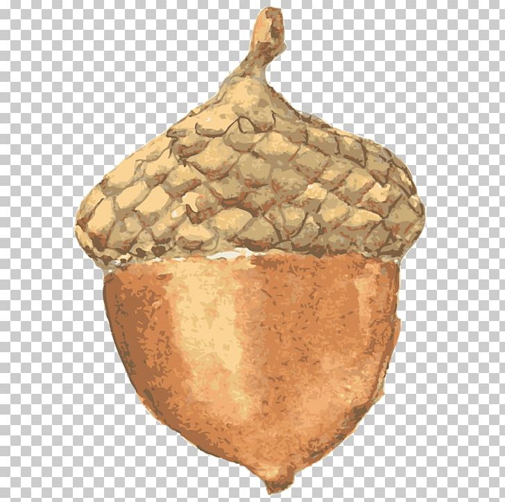 Acorn Sticker Nut PNG, Clipart, Acorn, Clip Art, Commodity, Download, Food Free PNG Download