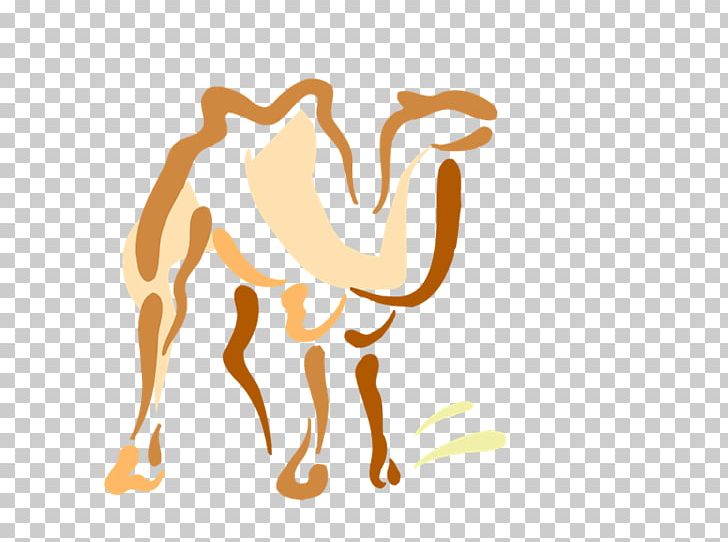 Camel Dromedary Drawing Photography PNG, Clipart, Art, Camel, Camel Caravan, Camel Like Mammal, Carnivoran Free PNG Download