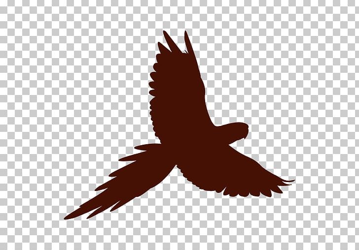 Bird Macaw Silhouette PNG, Clipart, Animals, Beak, Bird, Bird Of Prey, Blueandyellow Macaw Free PNG Download