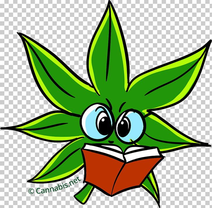 Cannabis Sativa Cannabidiol Hash Oil Kush PNG, Clipart, Artwork, Cannabidiol, Cannabinoid, Cannabis, Cannabis Culture Free PNG Download