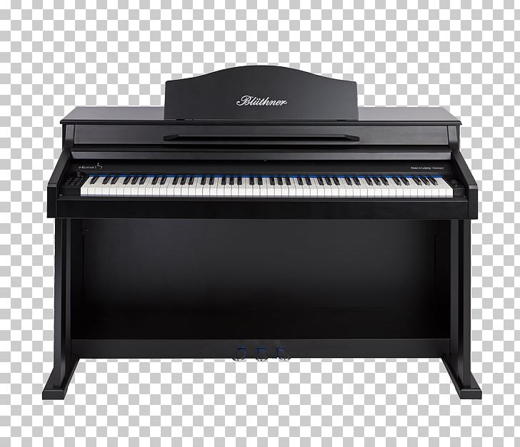Digital Piano Electric Piano Pianet Player Piano Musical Keyboard PNG, Clipart, Bluthner, Celesta, Computer Component, Digital Piano, Electric Piano Free PNG Download