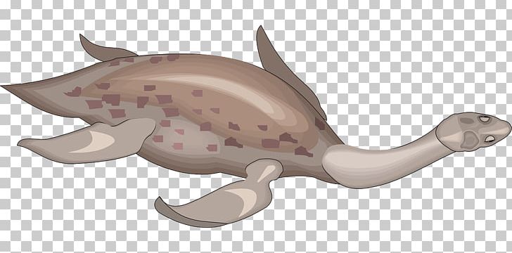 Fish Fin PNG, Clipart, Ancient, Animal Figure, Creature, Diving Swimming Fins, Download Free PNG Download