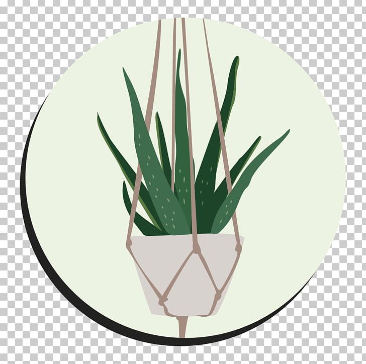 Green Leaf Flowerpot Aloes Tableware PNG, Clipart, Aloe, Dishware, Flowerpot, Grass, Green Free PNG Download