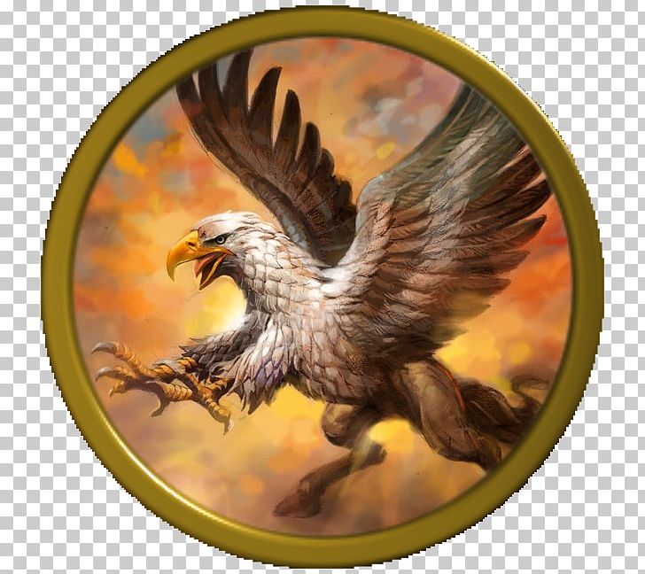 Hippogriff Greek Mythology Legendary Creature Griffin PNG, Clipart, Bald Eagle, Beak, Bird Of Prey, Chimera, Deity Free PNG Download