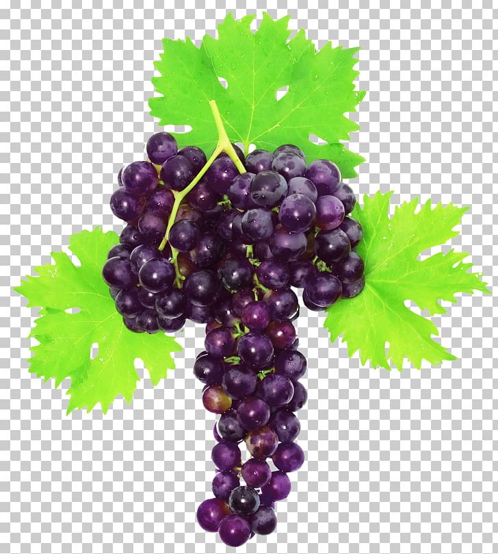 Muscat Grape White Photography PNG, Clipart, Common Grape Vine, Flowering Plant, Food, Fruit, Fruit Nut Free PNG Download