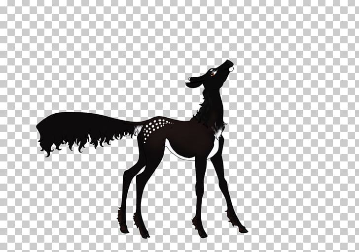 Mane Mustang Colt Foal Stallion PNG, Clipart, Black And White, Colt, Foal, Giraffe, Giraffidae Free PNG Download