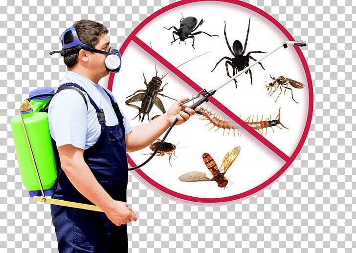 Mosquito Pest Control Fumigation Exterminator PNG, Clipart, Archery, Bed Bug, Bird Control, Cockroach, Exterminator Free PNG Download