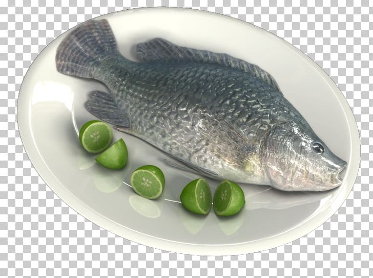 Salmon Fish Products 09777 Oily Fish Tilapia PNG, Clipart, 3d Fish, 09777, Animal Source Foods, Fish, Fish Products Free PNG Download