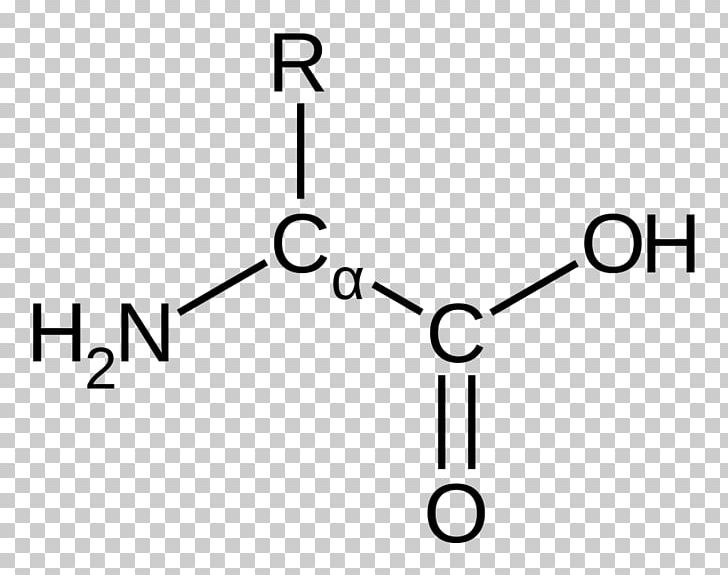 Amino Acid Carbamoyl Phosphate EPSP Synthase Functional Group PNG, Clipart, Acid, Amino Acid, Angle, Area, Carbamoyl Phosphate Free PNG Download
