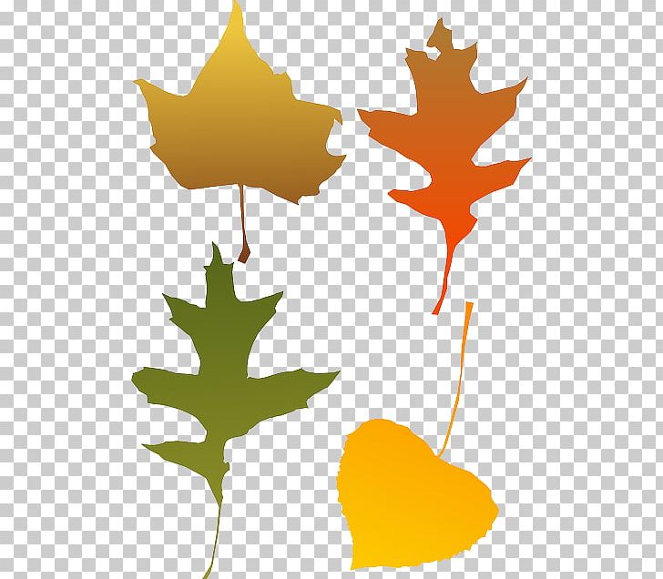 Autumn Leaf Color PNG, Clipart, Autumn, Autumn Leaf Color, Branch, Computer Icons, Flora Free PNG Download