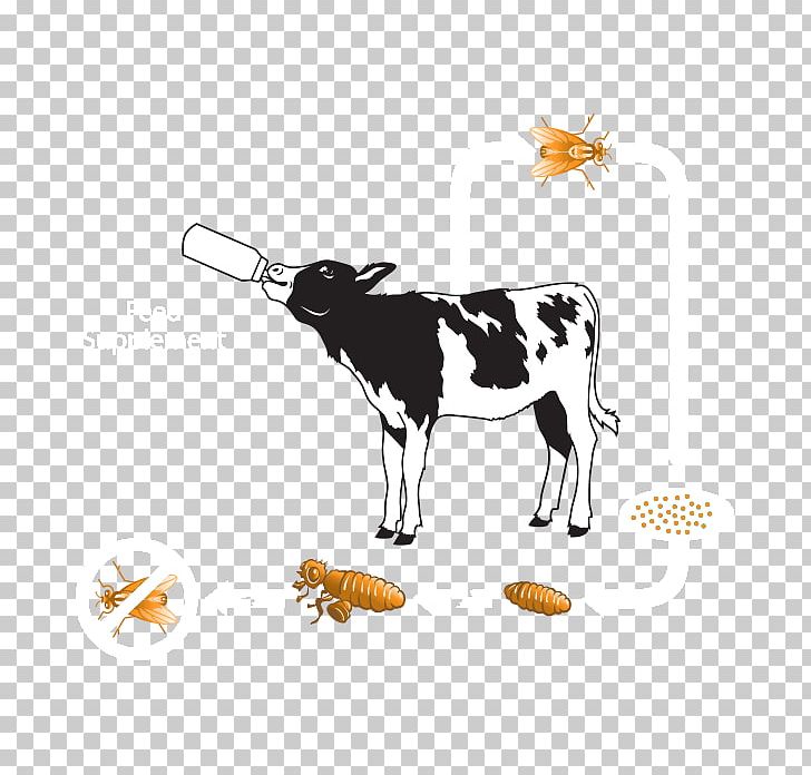 Dairy Cattle Beef Cattle Calf Ox Cattle Feeding PNG, Clipart, Animal Feed, Beef Cattle, Calf, Cattle, Cattle Feeding Free PNG Download