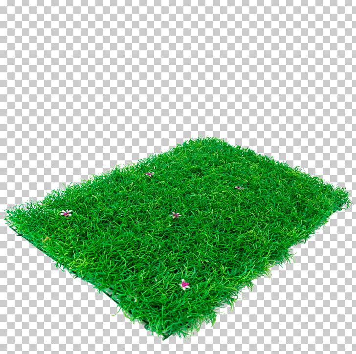 Lawn PNG, Clipart, Gazon, Grass, Green, Lawn, Others Free PNG Download