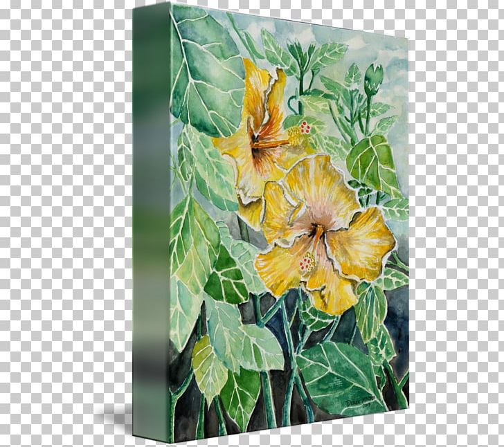 Flowering Plant Watercolor Painting Canvas Gallery Wrap PNG, Clipart, Canvas, Flower, Flowering Plant, Gallery Wrap, Hibiscus Watercolor Free PNG Download