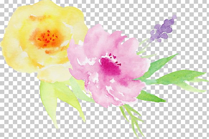Watercolor Painting Illustration PNG, Clipart, Blossom, Cartoon, Crea, Design, Flower Free PNG Download