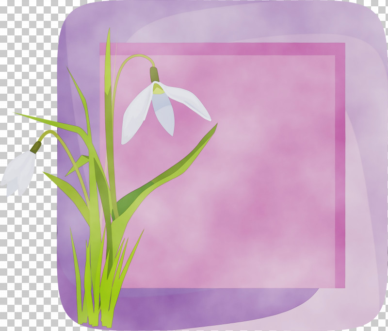 Lavender PNG, Clipart, Flower, Flower Frame, Flower Photo Frame, Lavender, Magenta Free PNG Download