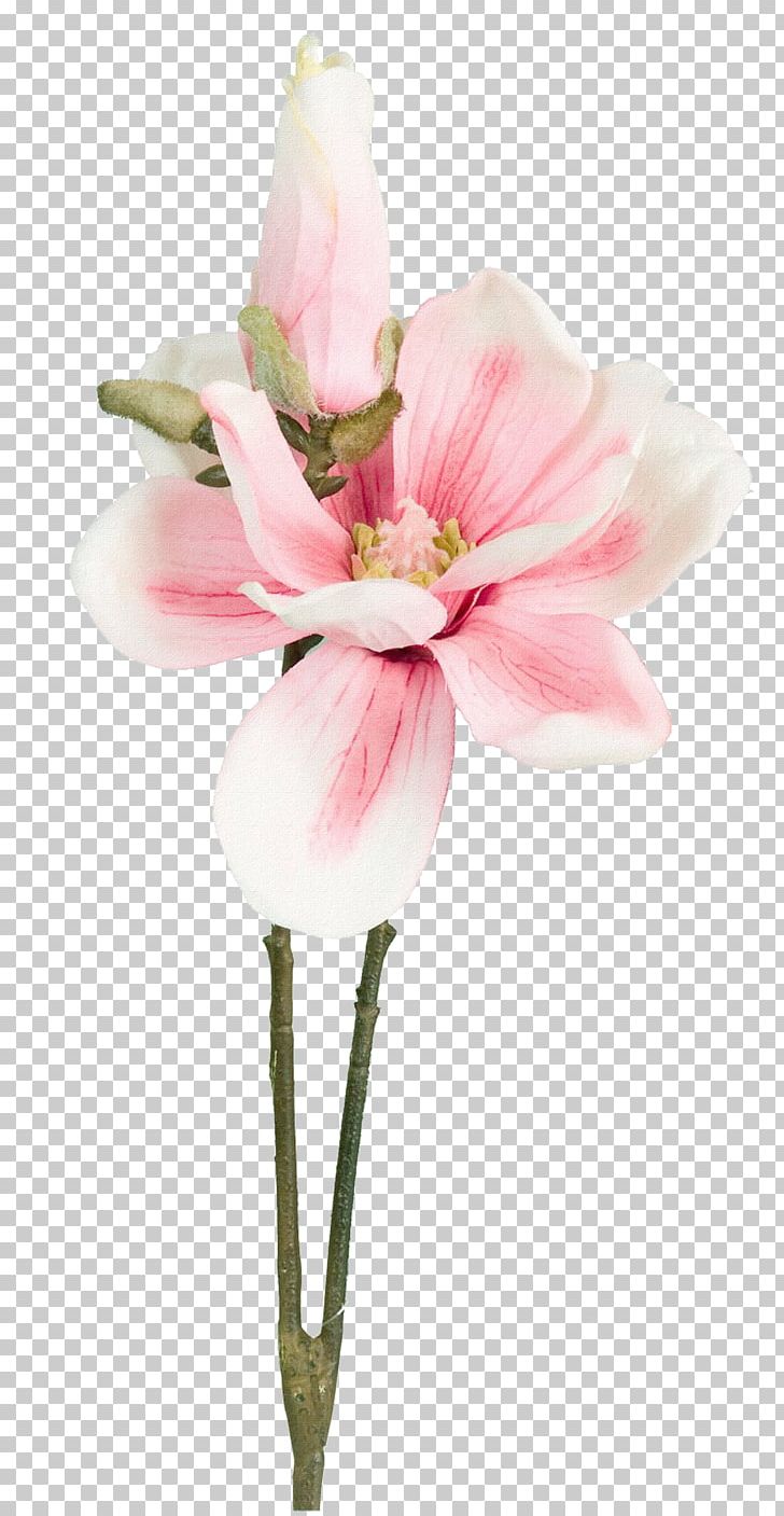 Flower Bouquet Petal PNG, Clipart, Border Frame, Bouquet Of Flowers, Color, Encapsulated Postscript, Fine Free PNG Download