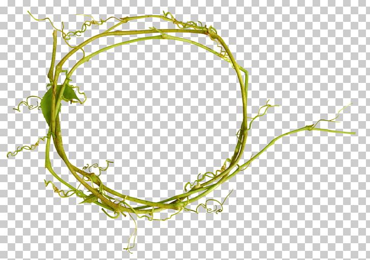 Flower Twig Branch Floral Design PNG, Clipart, Branch, Flora, Floral Design, Flower, Grass Free PNG Download
