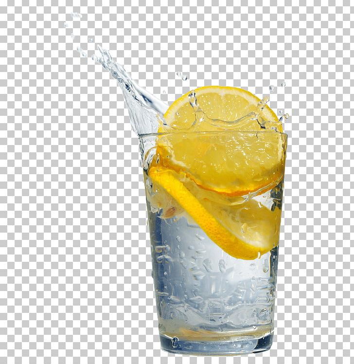 Orange Drink Fizzy Drinks Gin And Tonic Lemon Orange Juice PNG, Clipart, Aguas Frescas, Citric Acid, Cocktail, Cocktail Garnish, Drink Free PNG Download