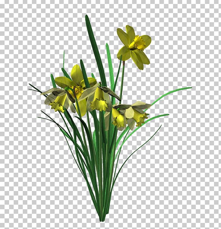 Cut Flowers HTML5 Video Floral Design Video File Format PNG, Clipart, Amaryllis Family, Cut Flowers, Flora, Floral Design, Floristry Free PNG Download