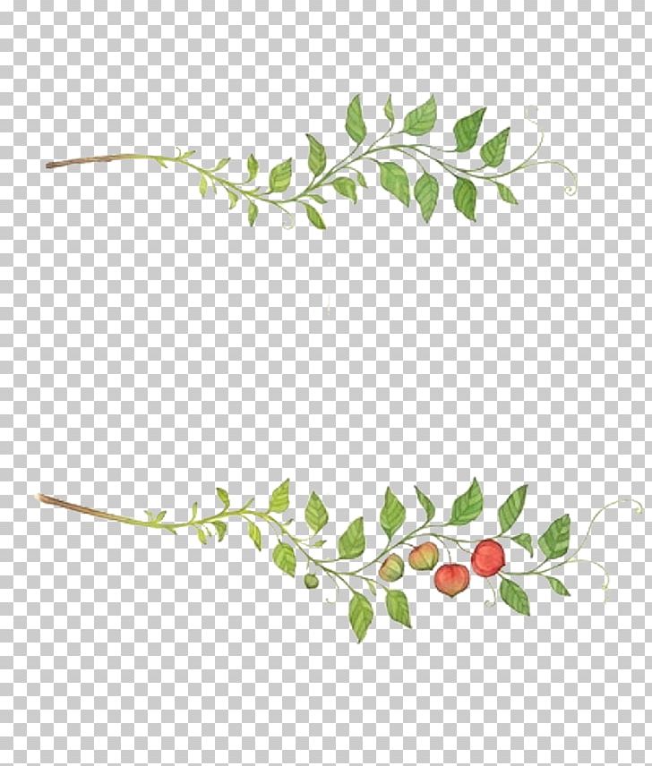 Leaf Fruit Auglis PNG, Clipart, Background, Background Decoration, Branch, Flower, Free Logo Design Template Free PNG Download