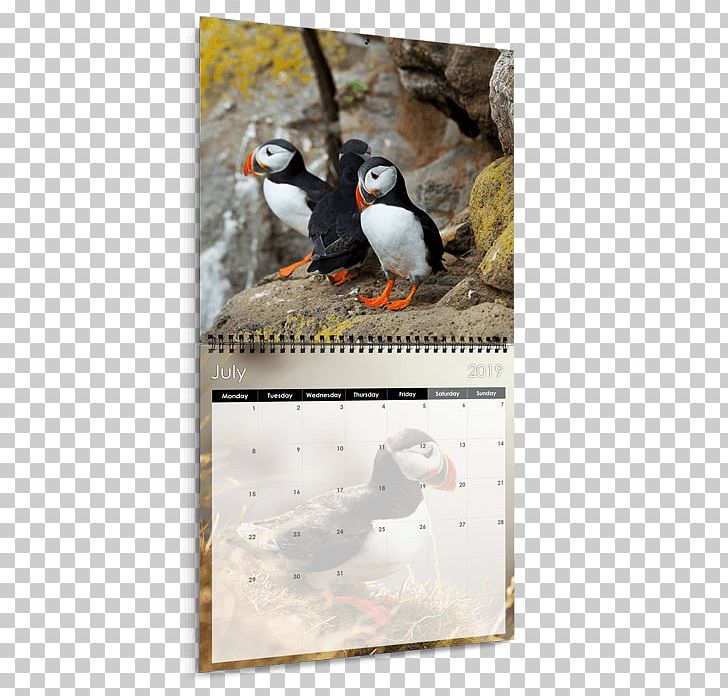 Calendar Landscape Photography Food Photography PNG, Clipart, 2018, Beak, Bird, Calendar, Fauna Free PNG Download