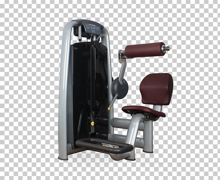 Fitness Centre Exercise Equipment Strength Training Physical Fitness PNG, Clipart, Crunch, Exercise Equipment, Exercise Machine, Fitness Centre, Gym Free PNG Download