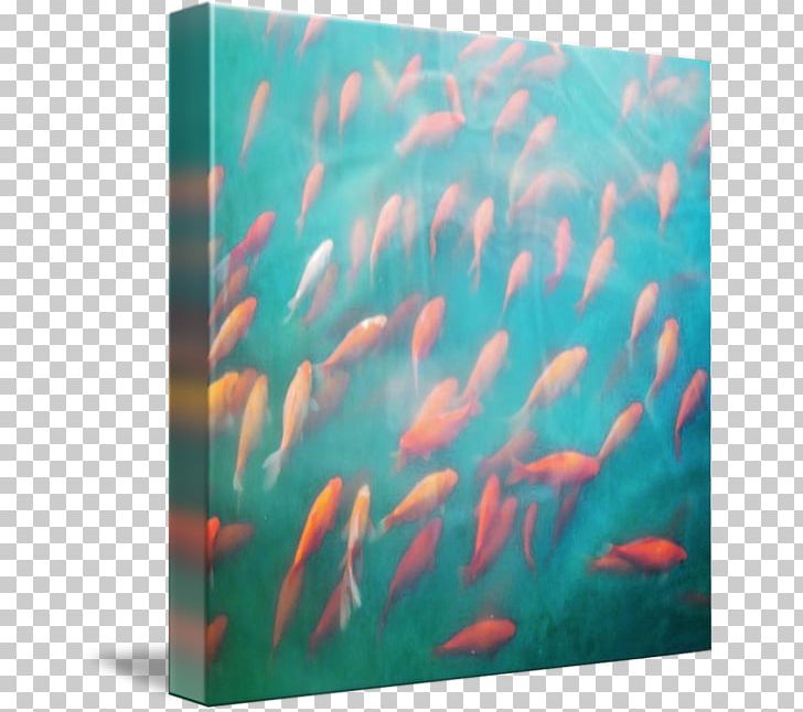Marine Biology Underwater Marine Mammal Coral Reef Fish PNG, Clipart, Aqua, Art, Biology, Coral, Coral Reef Free PNG Download