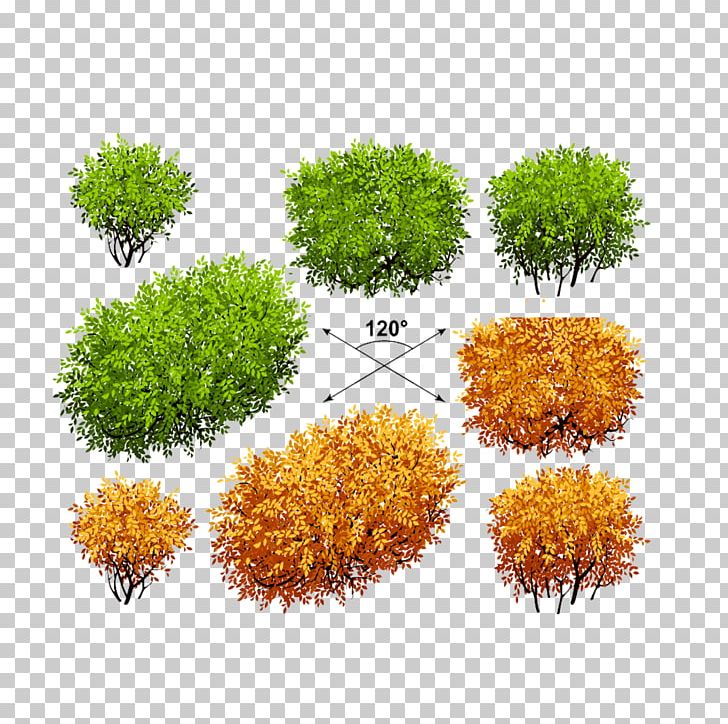 Shrub Euclidean Tree Plant PNG, Clipart, Autumn, Autumn Leaf Color, Bush, Cartoon, Crown Free PNG Download