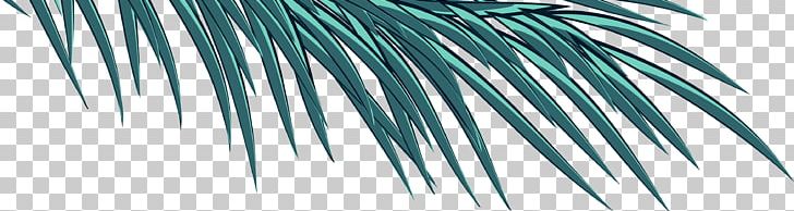 Arecaceae Blue Turquoise Green Teal PNG, Clipart, Aqua, Arecaceae, Arecales, Azure, Blue Free PNG Download