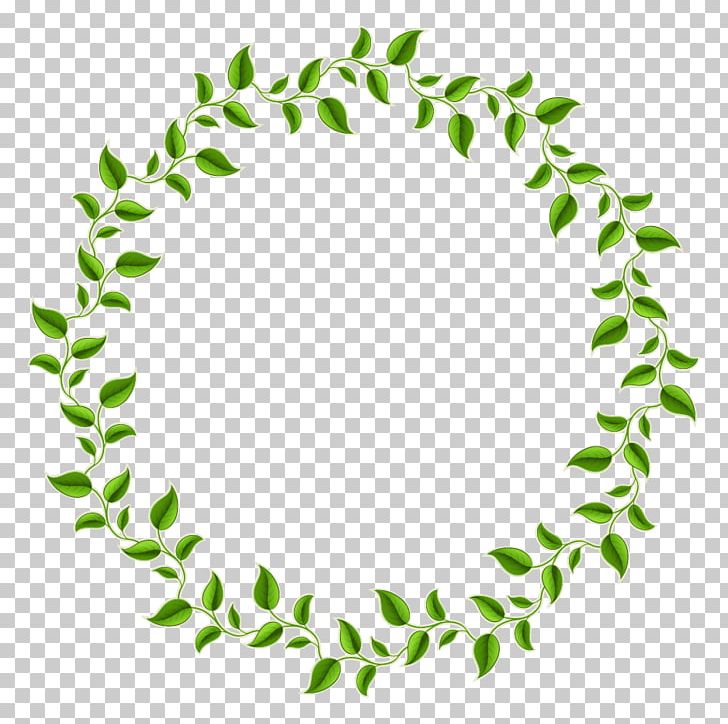 Leaf Green Circle Frame PNG, Clipart, Border, Circle Leaves Vector, Clip Art, Decorative Olive Branch, Decorative Patterns Free PNG Download