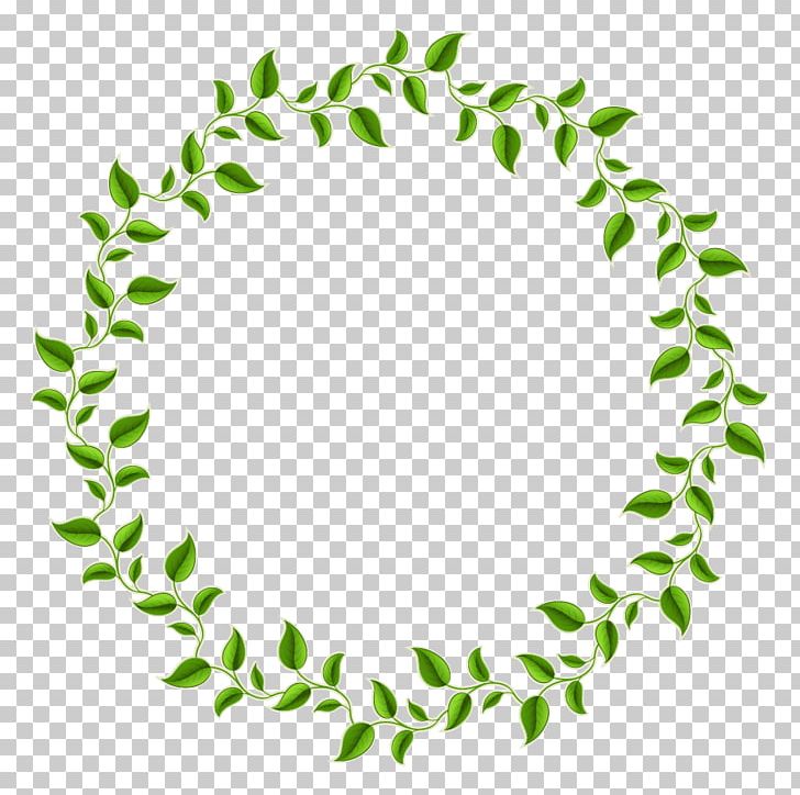 Leaf Green Circle Frame Png Clipart Border Circle Leaves Vector