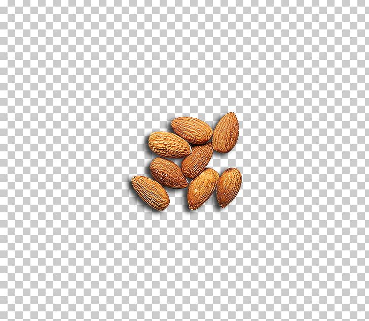 Nut Almond Apricot Kernel PNG, Clipart, Adobe Illustrator, Almond, Almond Milk, Almond Nut, Almond Nuts Free PNG Download