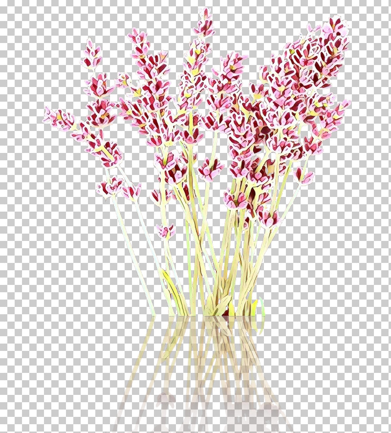 Flower Plant Cut Flowers Pink Grass PNG, Clipart, Cut Flowers, Flower, Grass, Pedicel, Pink Free PNG Download