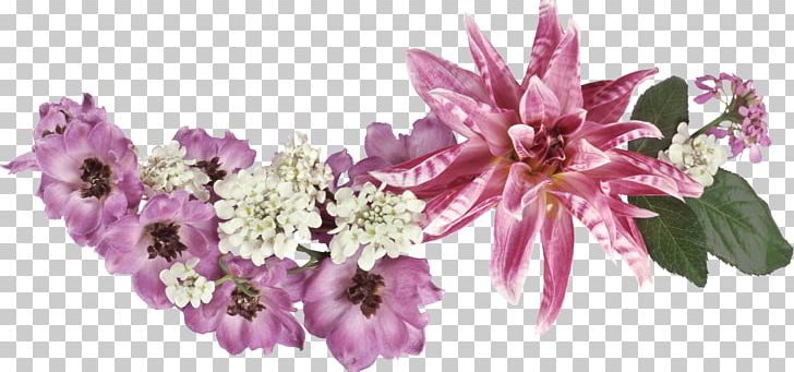 Flower Photography Morning PNG, Clipart, Birthday, Black And White, Cut Flowers, Daytime, Floral Design Free PNG Download