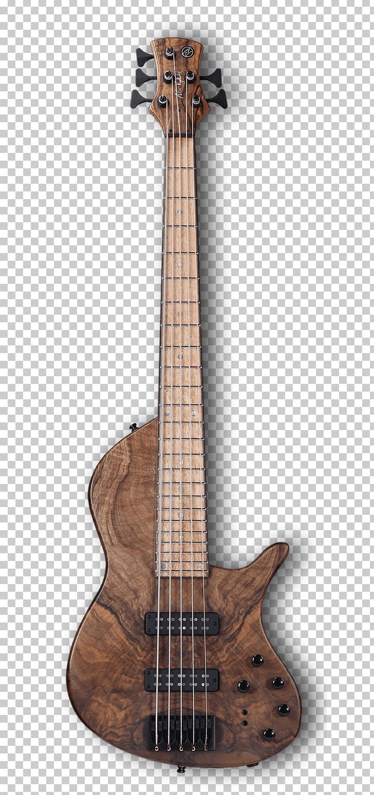 Bass Guitar Ukulele Guitar Amplifier Cuatro Acoustic-electric Guitar PNG, Clipart, Acoustic Electric Guitar, Cuatro, Double Bass, Electric Guitar, Electronic Musical Instrument Free PNG Download