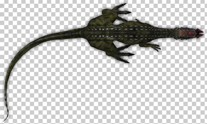 Gecko Alligators Lizard Amphibian Terrestrial Animal PNG, Clipart, Alligator, Alligators, Amphibian, Animal, Animal Figure Free PNG Download