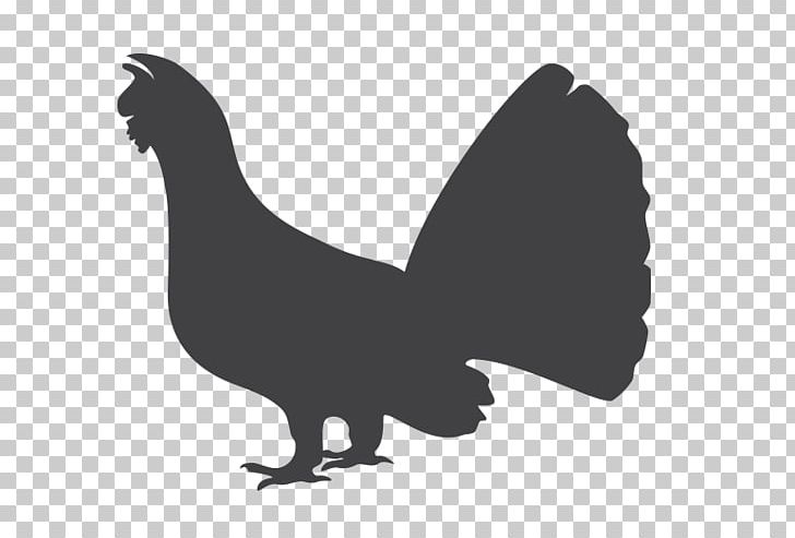 Mallard Duck Western Capercaillie Grouse Plumage PNG, Clipart, Anatidae, Animals, Beak, Bird, Black And White Free PNG Download
