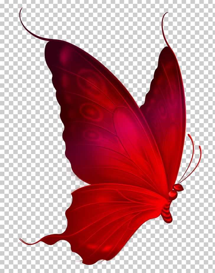 Monarch Butterfly Red PNG, Clipart, Arthropod, Autocad Dxf, Brush Footed Butterfly, Butterflies And Moths, Butterfly Free PNG Download