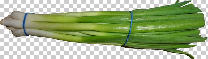 Scallion Wikimedia Commons PNG, Clipart, Allium, Commodity, Creative Commons, Creative Commons License, Green Free PNG Download