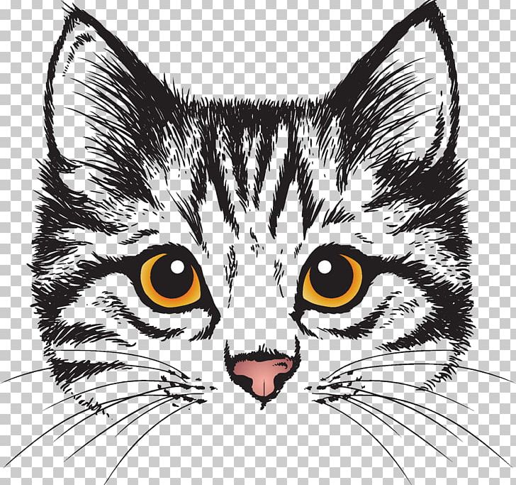 Cat Kitten Canvas Wall Decal Love PNG, Clipart, Art, Black And White, Carnivoran, Cartoon, Cat Free PNG Download