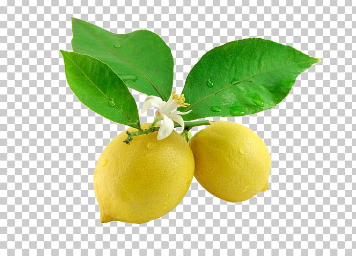 Sour Lemon Juice Kaffir Lime Leaf PNG, Clipart, Apple Fruit, Beauty Salon, Citric Acid, Citroenolie, Citron Free PNG Download