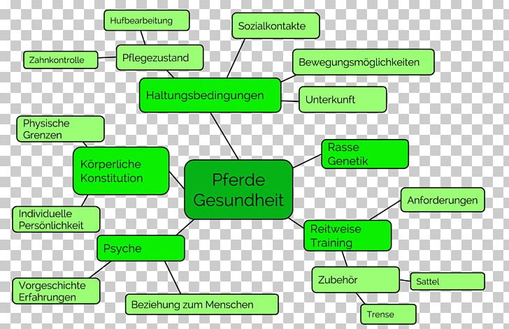 Horse Trainer Mind Map Organization Diagram PNG, Clipart, Angle, Area, Basic Needs, Brand, Diagram Free PNG Download