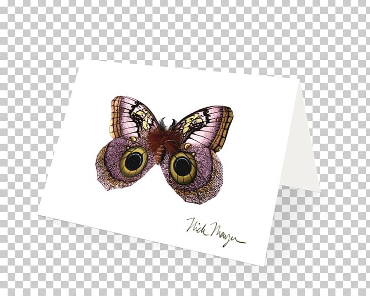 Purple PNG, Clipart, Art, Butterfly, Insect, Moths And Butterflies, Pollinator Free PNG Download