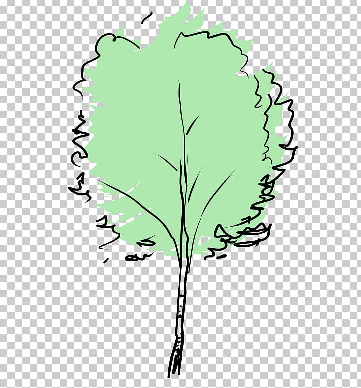 Tree PNG, Clipart, Artwork, Beech, Beech Tree, Black And White, Blog Free PNG Download