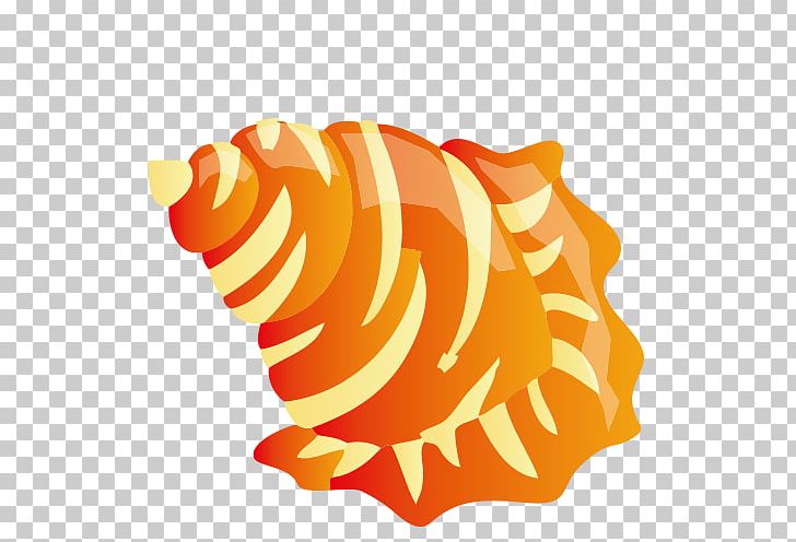 Beach PNG, Clipart, Adobe Illustrator, Art, Beach, Cartoon Conch, Conch Free PNG Download