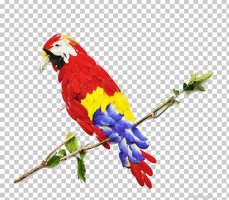 Bird Flower Petal Red Leaf PNG, Clipart, Animal, Bird, Bird Cage, Common Pet Parakeet, Fauna Free PNG Download