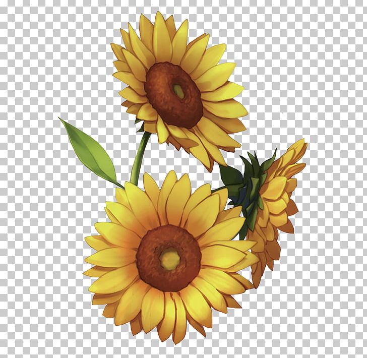 Common Sunflower Sunlight PNG, Clipart, Common Sunflower, Computer, Cut Flowers, Daisy Family, Download Free PNG Download