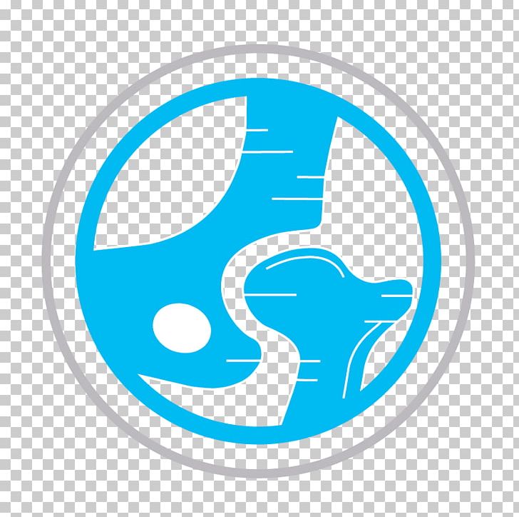 Joint Replacement Bone Knee Surgery PNG, Clipart, Area, Blue, Bone, Brand, Circle Free PNG Download