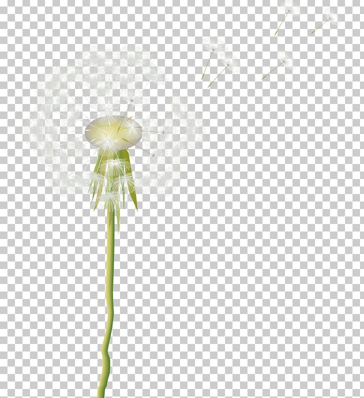 Petal Green Pattern PNG, Clipart, Black Dandelion, Cartoon, Creative, Dandelion, Dandelion Flower Free PNG Download
